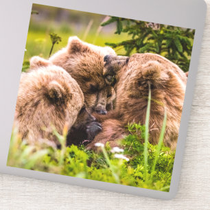 Mama Bären pflegen ihre zwei Jungen, Lake Clark Na Aufkleber