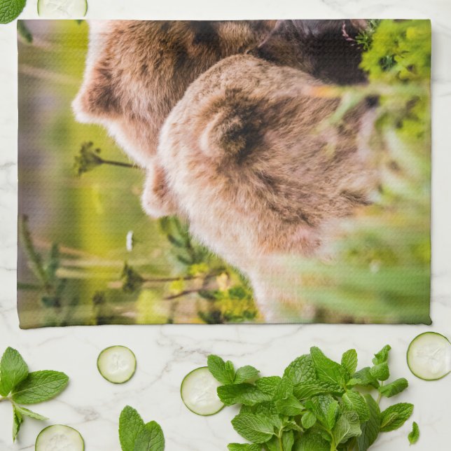 Mama Bären pflegen ihre zwei Jungen, Lake Clark Na Geschirrtuch (Gefaltet)
