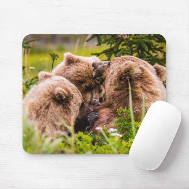 Mama Bären pflegen ihre zwei Jungen, Lake Clark Na Mousepad (Mit Mouse)