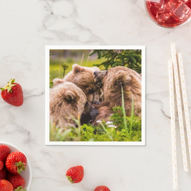 Mama Bären pflegen ihre zwei Jungen, Lake Clark Na Serviette (Beispiel)