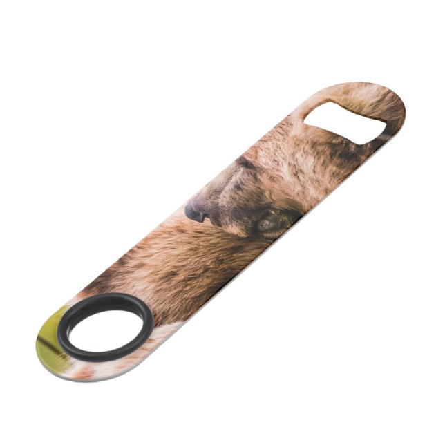 Mama Bären pflegen ihre zwei Jungen, Lake Clark Na Speed Flaschenöffner (Vorderseite Schrägansicht)