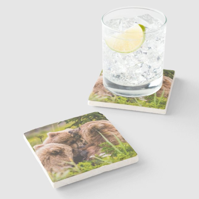 Mama Bären pflegen ihre zwei Jungen, Lake Clark Na Steinuntersetzer (Seitenansicht)