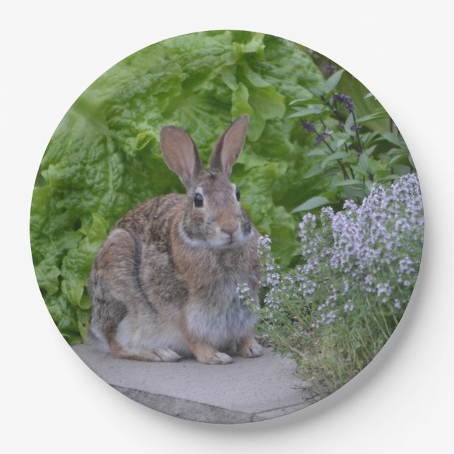 Mama Bunny Pappteller (Vorderseite)