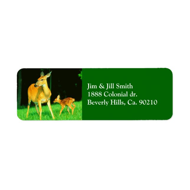 Mama Deer & Baby Fawn (Vorne)