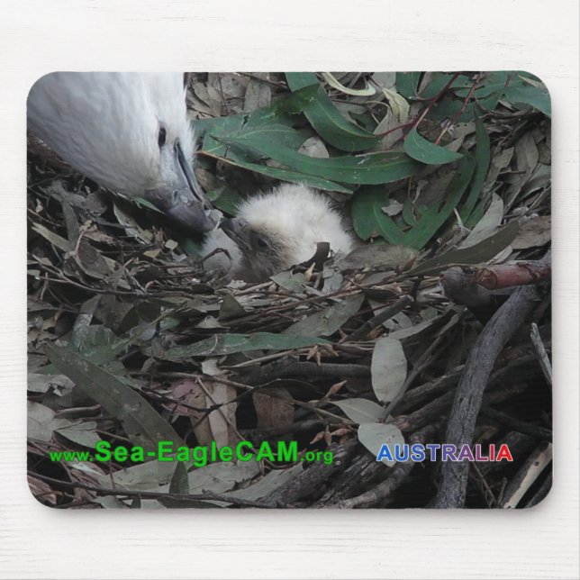 Mama, die S2 Mousepad horizontal füttert (Vorne)