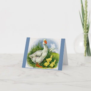 Mama-Ente und Enten