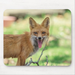 Mama Fox im Hudson Valley Mousepad