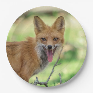 Mama Fox im Hudson Valley Pappteller