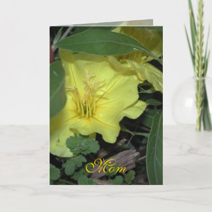 Mama Geburtstag Karte