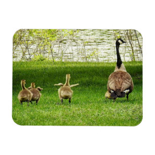 Mama Goose und Goofy Baby Magnet