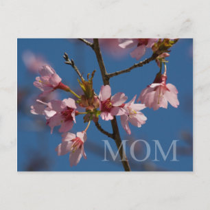 Mama Hübsches Foto Blume Blüten Frühlingsszene Postkarte