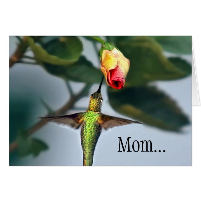 Mama Hummingbird (Vorderseite (Horizontal))