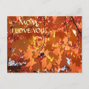 MAMA, ICH LIEBE DICH! Postkarten Herbst verbleibt