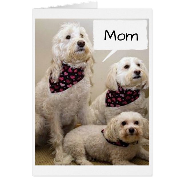 MAMA IST EIN **GLÜCKLICHER GEBURTSTAG** DURCH 3 PU (Vorne)