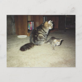 Mama Katze mit Kätzchen Postkarte
