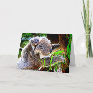 Mama Koala und Baby Joey in einem Baum, Karte