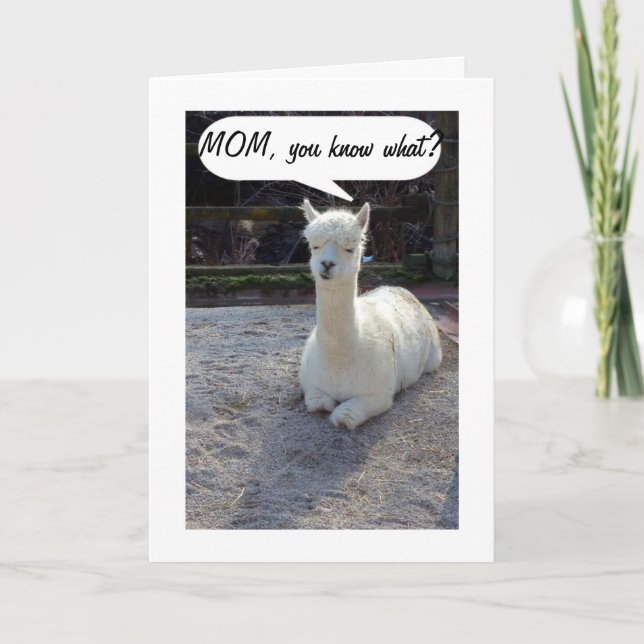 MAMA-LLAMA SAGT, NIEMAND HABE EIN BESSERES ZWEI GE KARTE (Vorderseite)