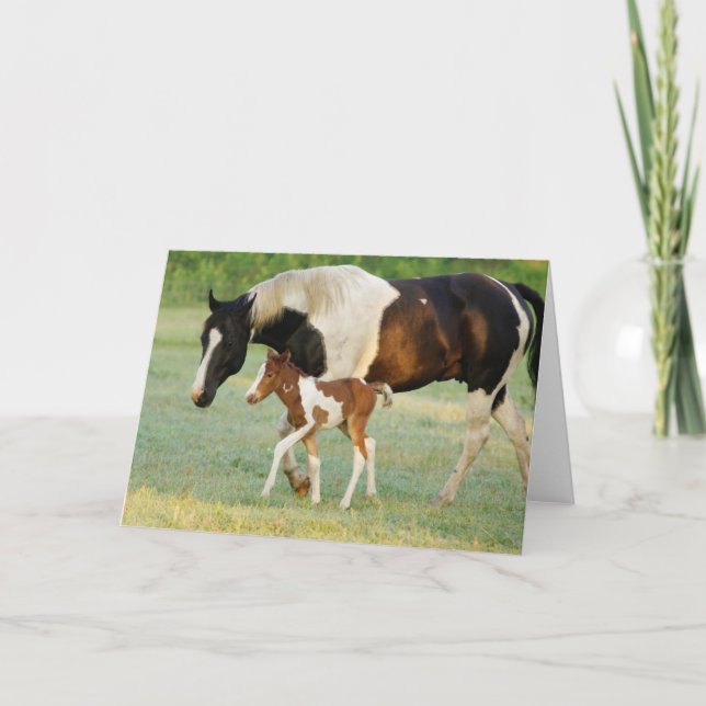 Mama & Paint Filly Karte (Vorderseite)