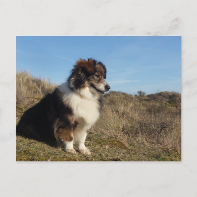 Mama Postkarte (Vorderseite)