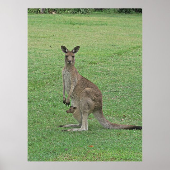Mama Roo und Joey Poster (Vorne)