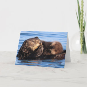 Mama Sea Otter und ihr bezauberndes Jungtier Karte