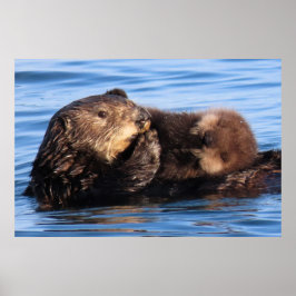 Mama Sea Otter und ihr bezauberndes Jungtier Poster