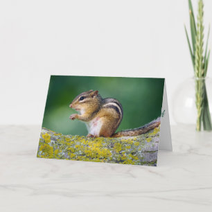Mama Streifenhörnchen Karte