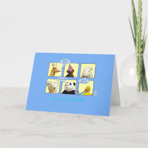Mama-to-be Baby Boy Animals in Windows Card Karte