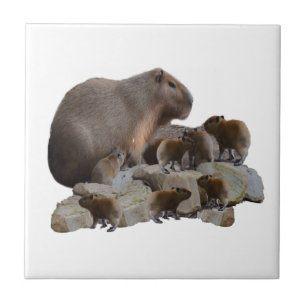 Mama und Baby Capybaras, Fliese