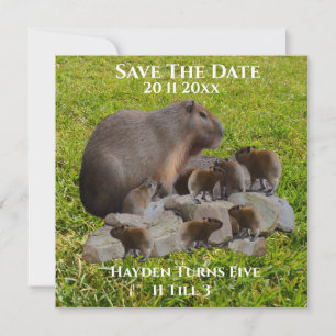 Mama und Baby Capybaras Save the Date