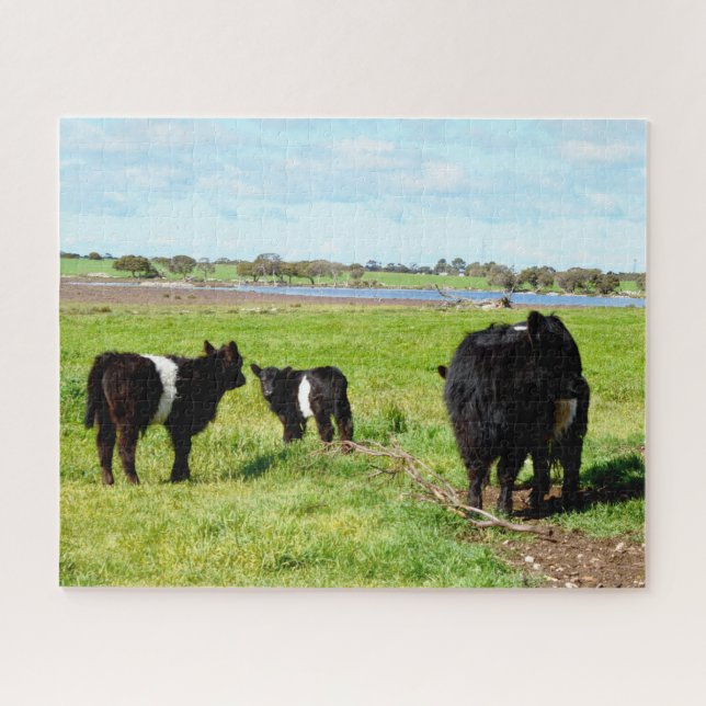Mama und Baby Galloway Kühe, Puzzle (Horizontal)