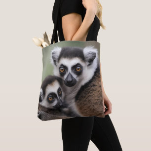 Mama und Baby Lemur Cuddling,