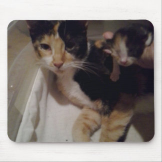 Mama und Baby Mouse Pad Mousepad
