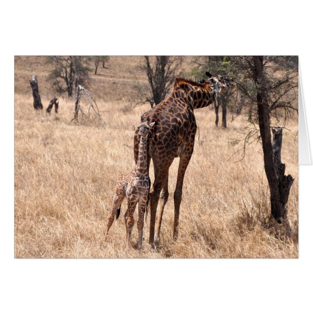 Mama und ich (Vorderseite (Horizontal))