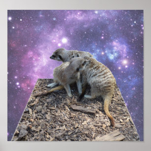 Mama und Jungtiere Meerkat, Poster