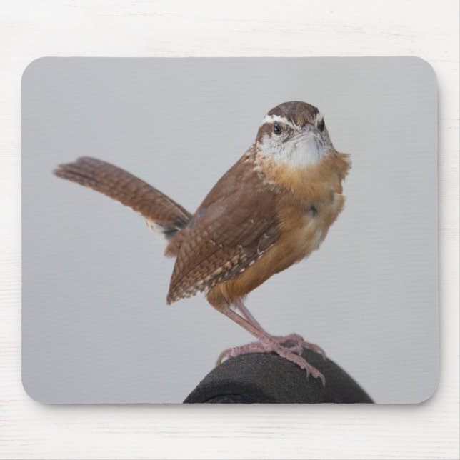 Mama Wren Mousepad (Vorne)