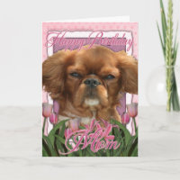Mama zum Geburtstag - König Charles Cavalier - Rub