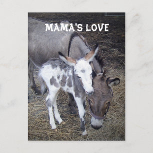 Mamas Liebe Post Card Postkarte