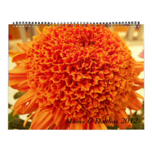Mamas u. Dahlien 2012 Kalender