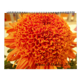 Mamas u. Dahlien 2012 Kalender