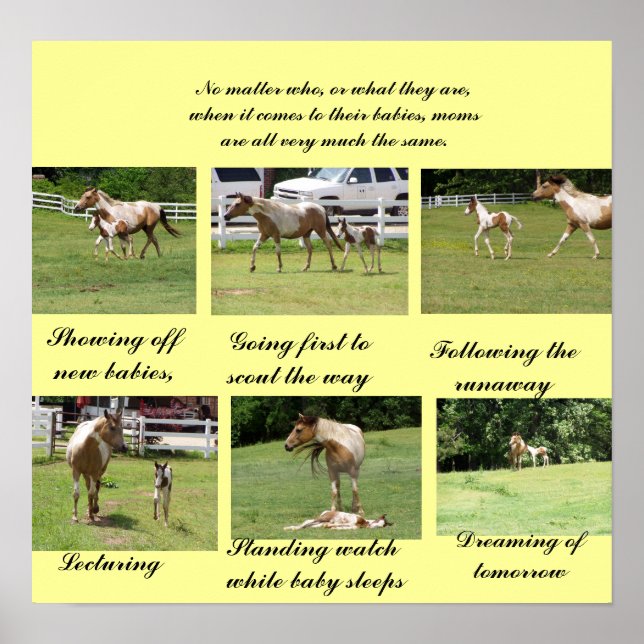 Mamas und Säuglinge Poster (Vorne)