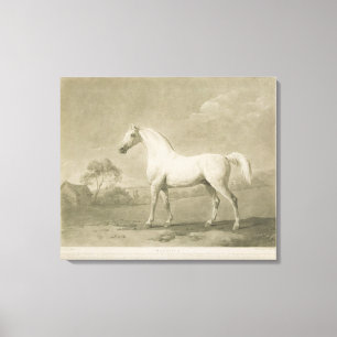 Mambrino, nach George Stubbs, 1788 (Mezzotint) Leinwanddruck