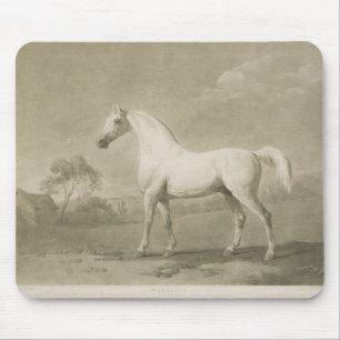 Mambrino, nach George Stubbs, 1788 (Mezzotint) Mousepad