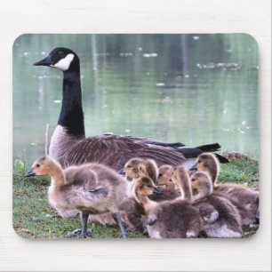 Mamma Gänse und Babies Mousepad