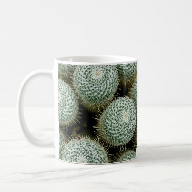 Mammillaria hahniana kaffeetasse (Links)