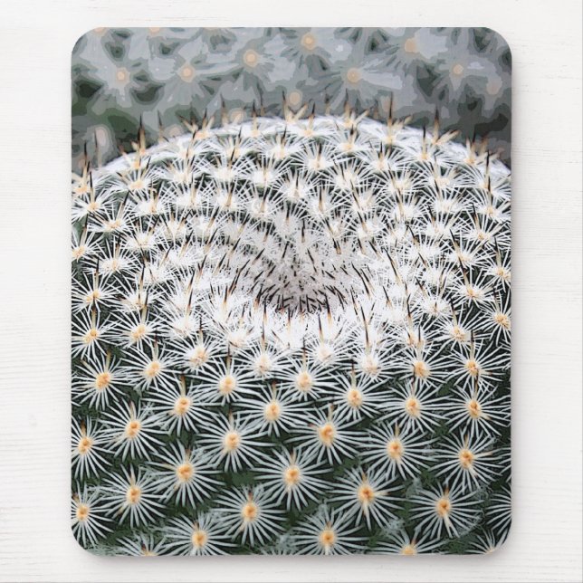 Mammillaria mousepad (Vorne)
