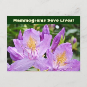 Mammographien retten Leben! Postkarten Blumen