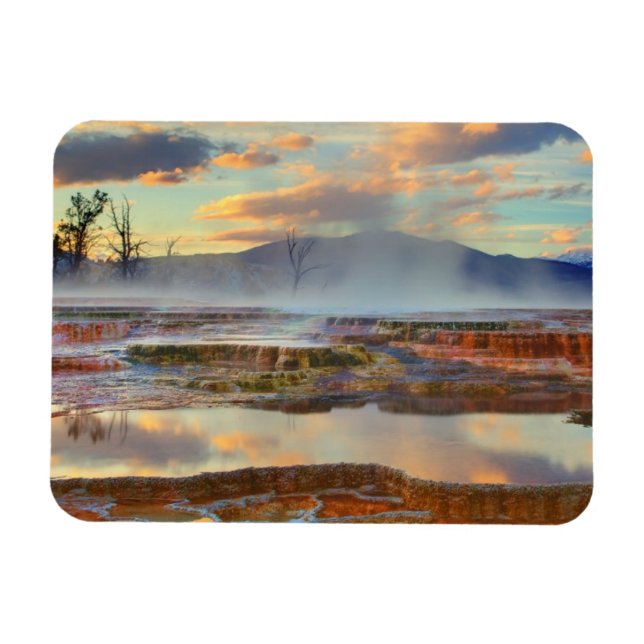Mammoth Hot Springs Magnet (Horizontal)