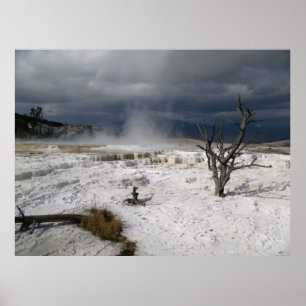 Mammoth Hot Springs Poster