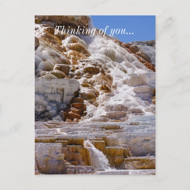 Mammoth Hot Springs Postkarte (Vorderseite)